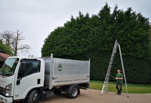 screenshot 20250605 194512 photos