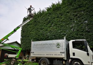 screenshot 20250605 194613 photos