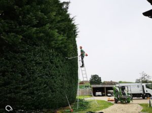 screenshot 20250605 195226 photos