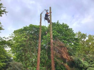 screenshot 20250605 195312 photos