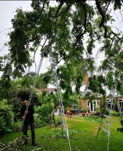 screenshot 20250605 195508 photos