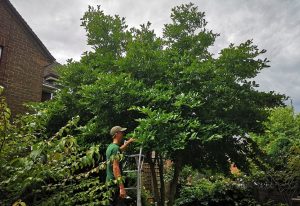 screenshot 20250605 195628 photos