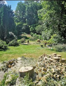 screenshot 20250605 195656 photos