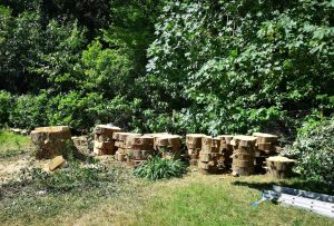 screenshot 20250605 195724 photos