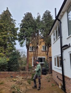 screenshot 20250605 200639 photos