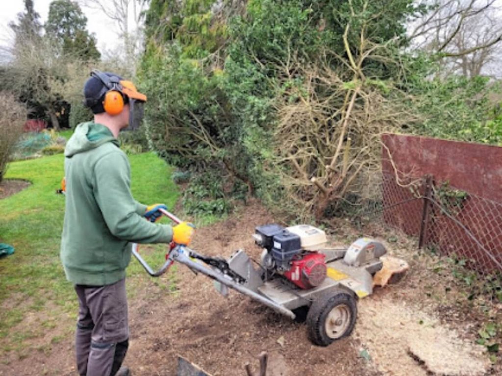 screenshot 20250605 200701 photos