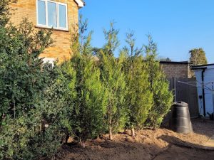 screenshot 20250605 200821 photos