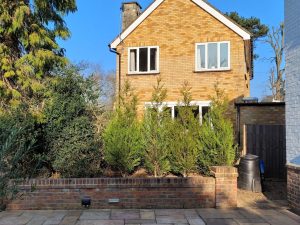 screenshot 20250605 200829 photos