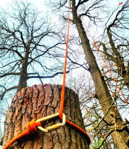 screenshot 20250605 201655 photos