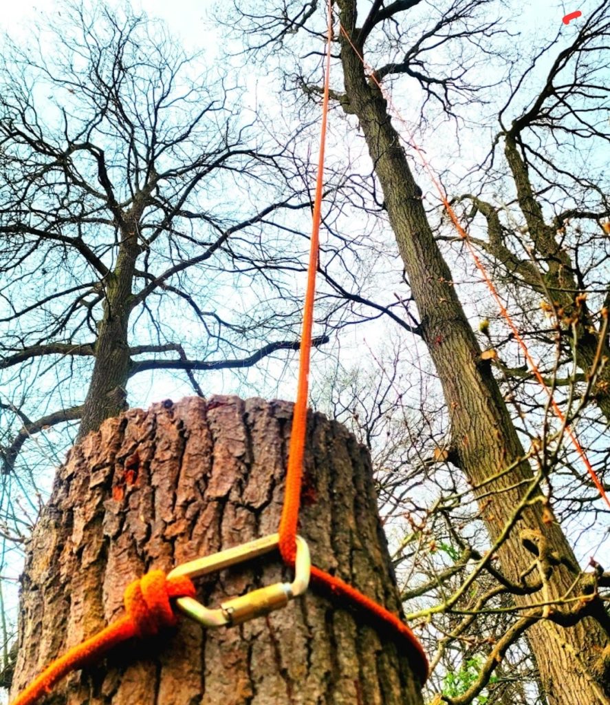 screenshot 20250605 201655 photos