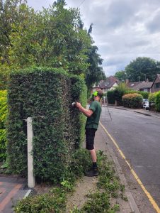 screenshot 20250605 201813 photos