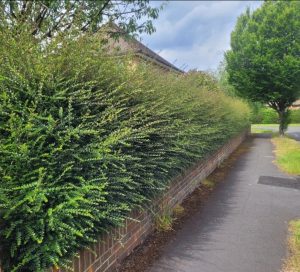 screenshot 20250605 202741 photos