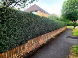 screenshot 20250605 202750 photos