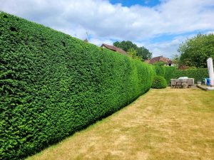 screenshot 20250605 202849 photos