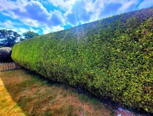 screenshot 20250605 202902 photos