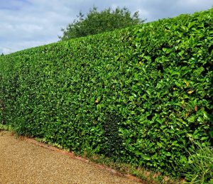 screenshot 20250605 202910 photos