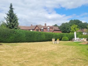 screenshot 20250605 202923 photos