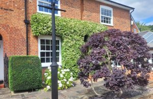 screenshot 20250605 202953 photos