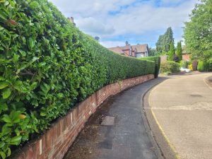 screenshot 20250605 203027 photos