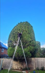 screenshot 20250605 203324 photos