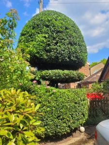 screenshot 20250605 203533 photos