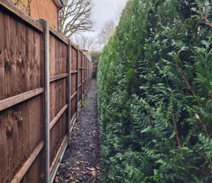 screenshot 20250605 203545 photos