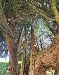 screenshot 20250605 203847 photos