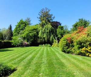 screenshot 20250605 203943 photos