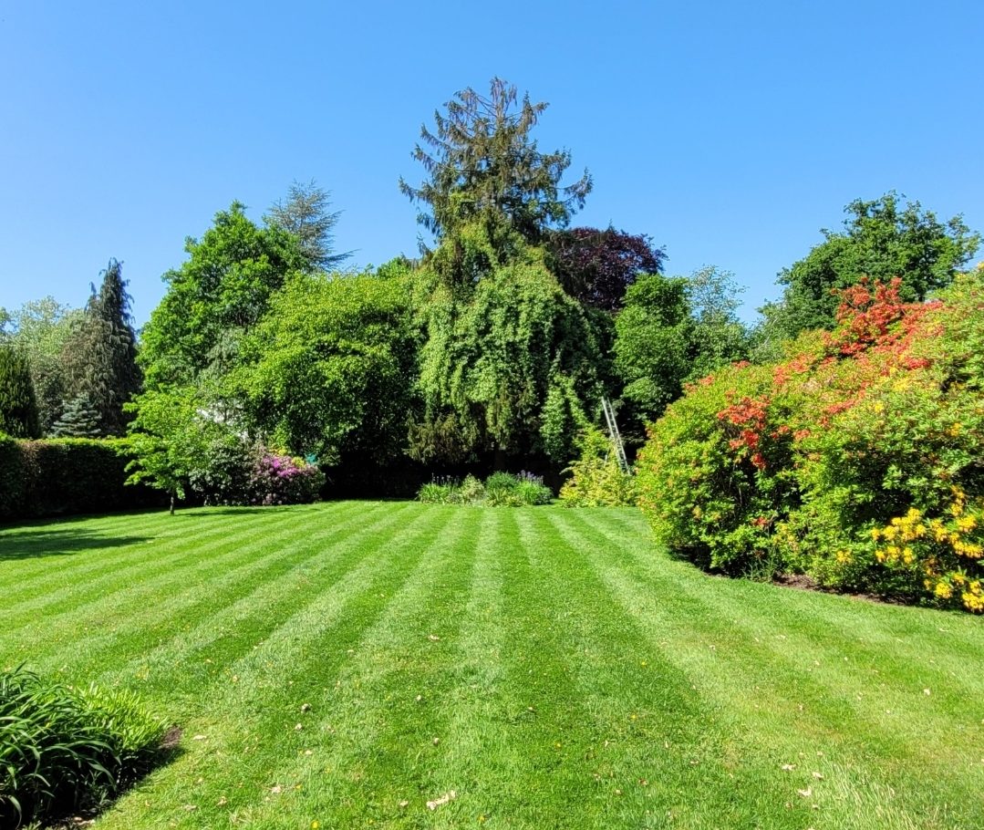 screenshot 20250605 203943 photos