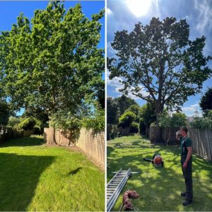 screenshot 20250605 204049 photos