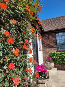 screenshot 20250605 204127 photos