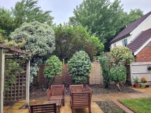 screenshot 20250605 204228 photos