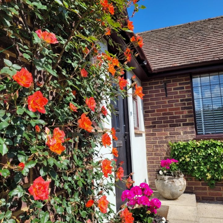 screenshot 20250605 204127 photos